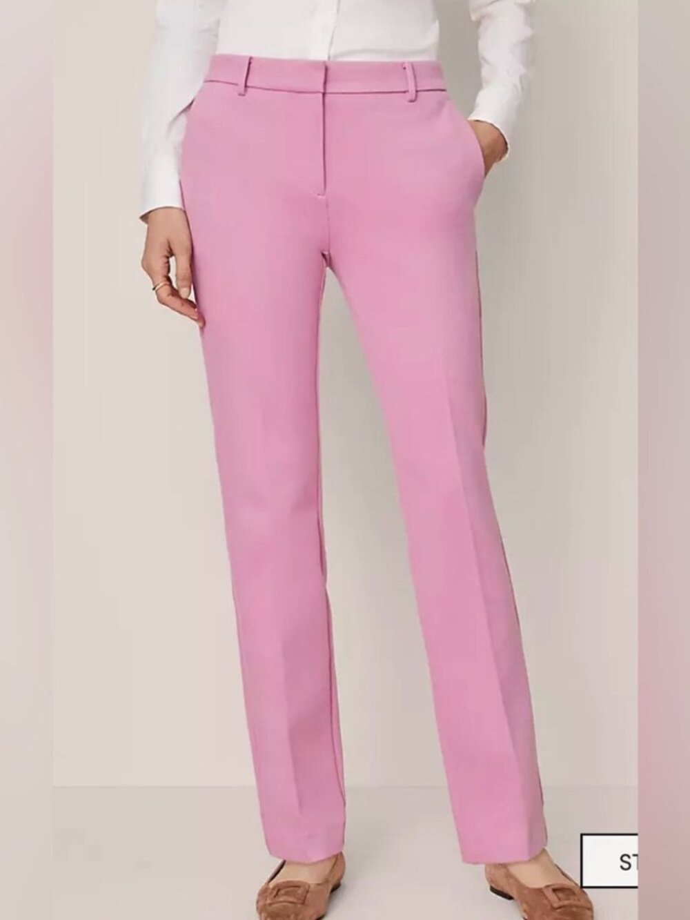 The Sophia Pant Ann Taylor NWT Reg 6